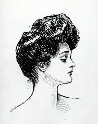 A Gibson Girl by Charles Dana Gibson